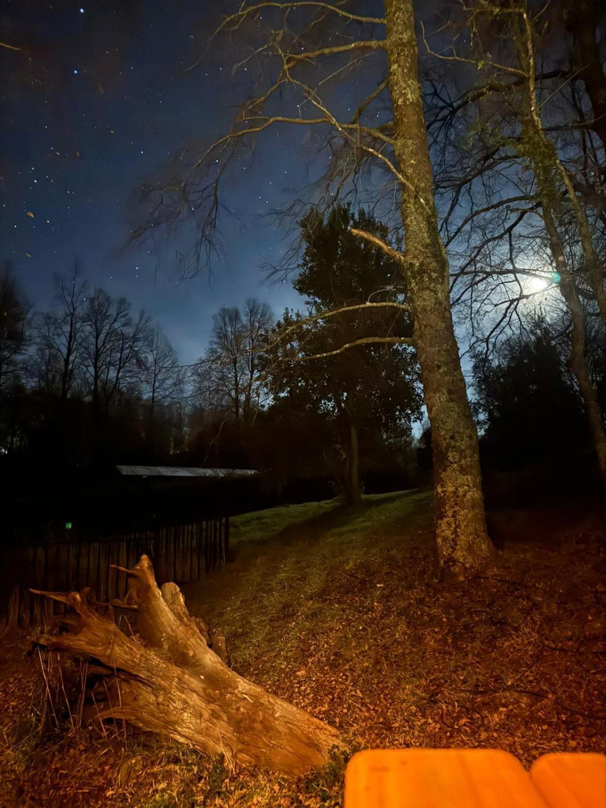 Domos Elohim Villa Pucón Dış mekan fotoğraf